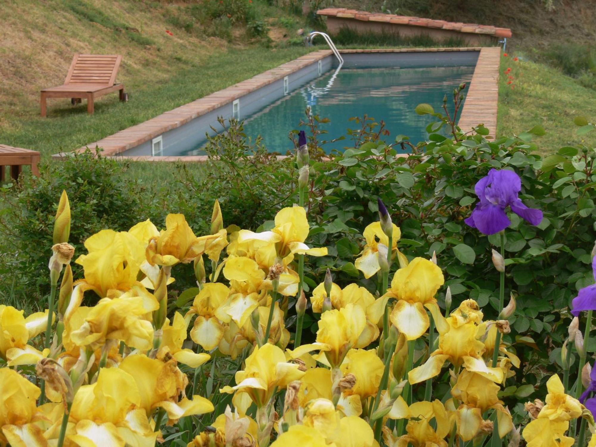 Maison d'hôtes Casa Isabella à Vaglio Serra Extérieur photo