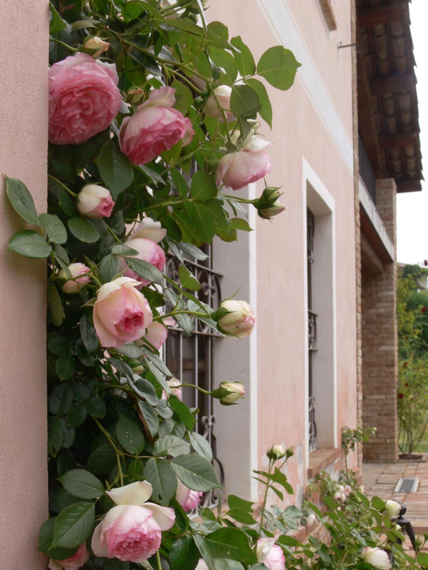 Maison d'hôtes Casa Isabella à Vaglio Serra Extérieur photo