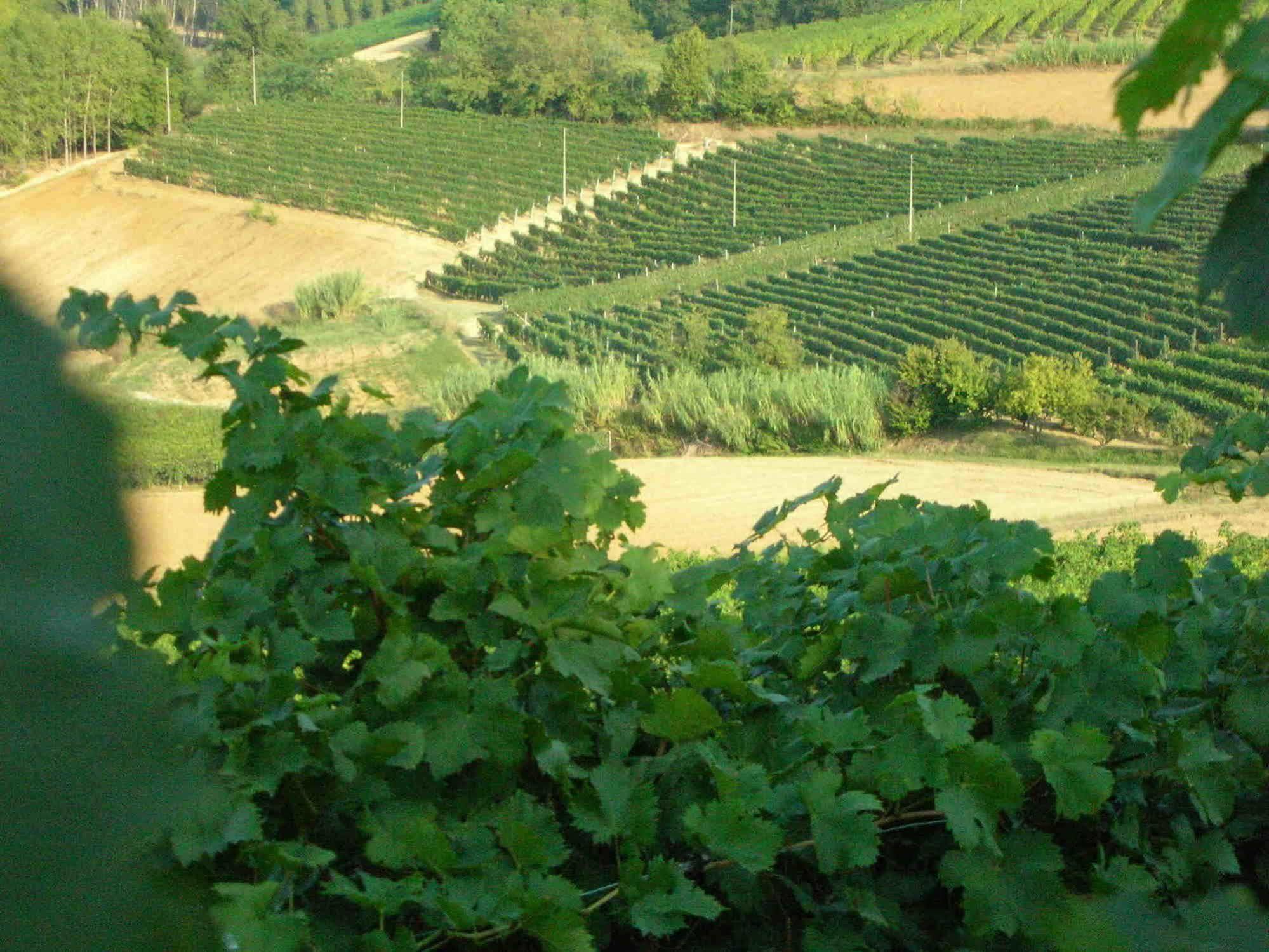 Maison d'hôtes Casa Isabella à Vaglio Serra Extérieur photo